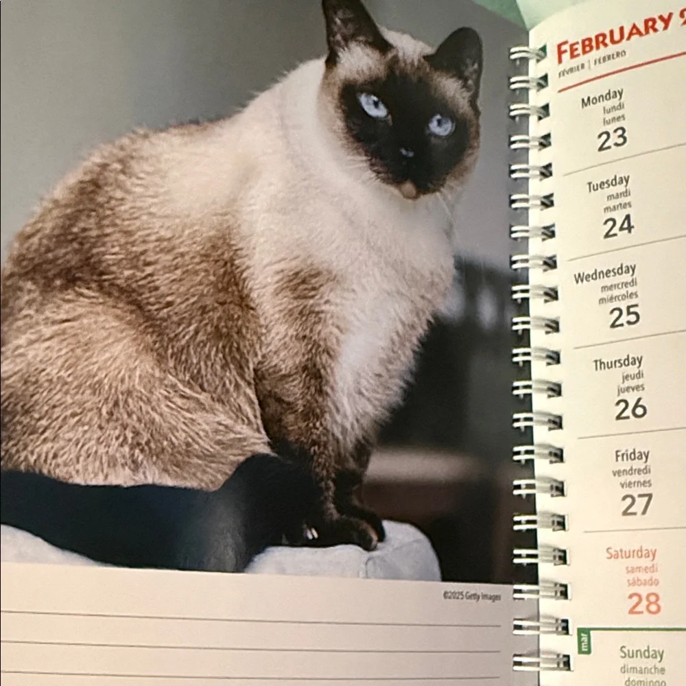 LAST CHANCE SALE- Cat Lovers 2026 Planner BNWT and Mug Set